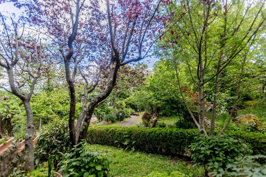 Il Boschetto Di Castagni Bed and Breakfast Soriano nel Cimino Εξωτερικό φωτογραφία